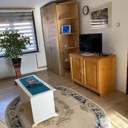 Apartment Micin Dom *