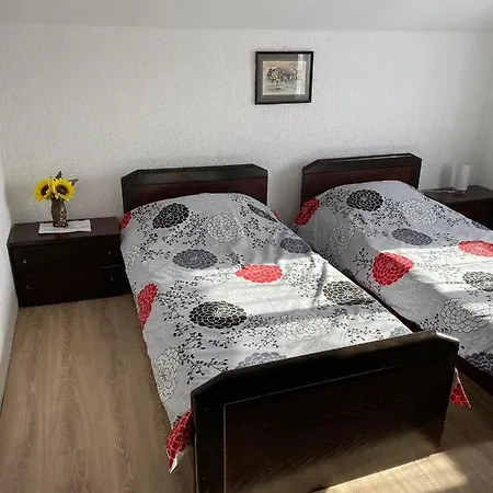 Apartment Micin Dom *